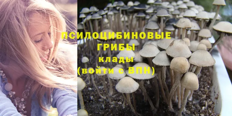 купить наркотики сайты  Мелеуз  mega ссылки  Галлюциногенные грибы Psilocybine cubensis 